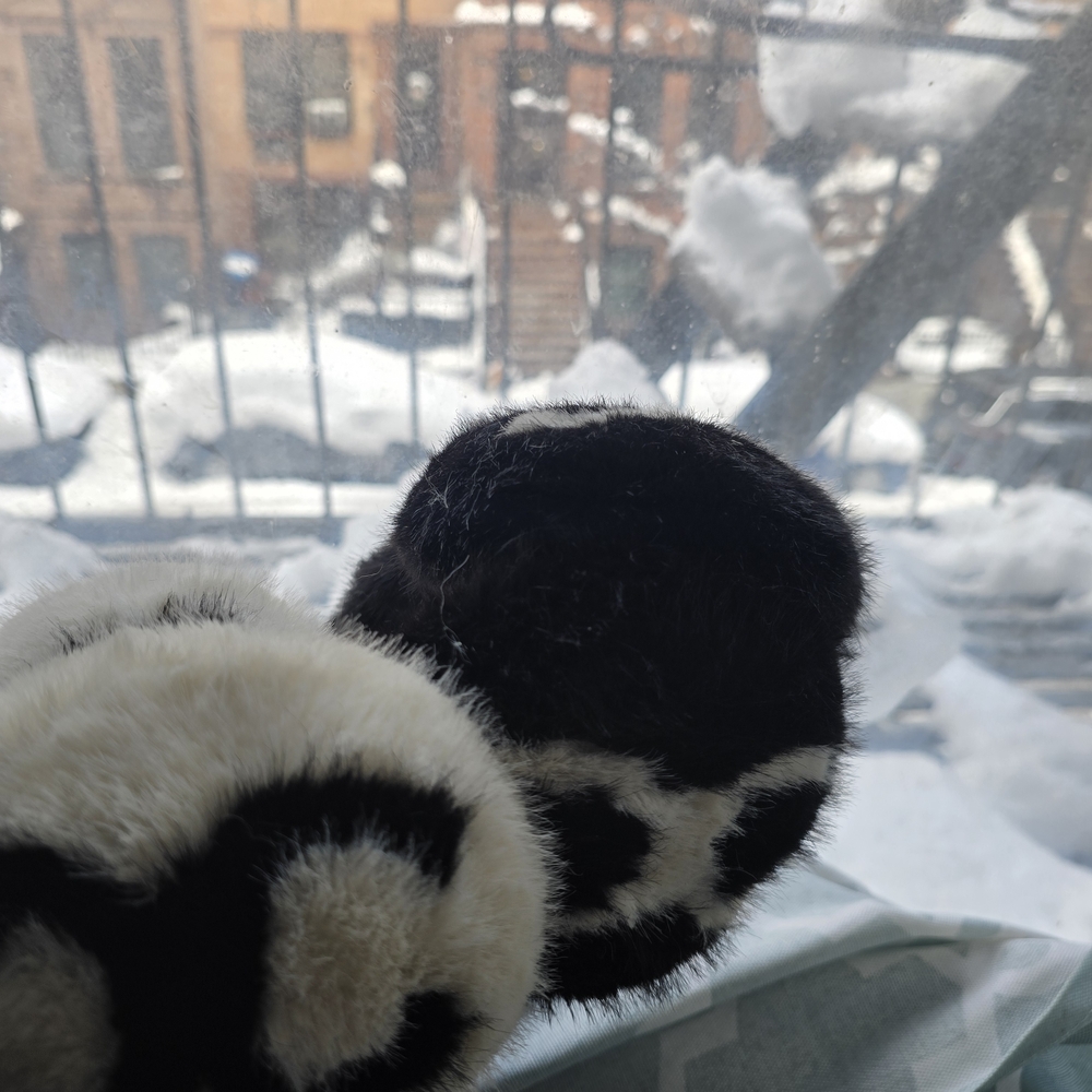 Black and White Fur Earmuffs - Picture 3 of 3